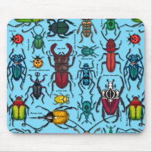 Beetles on blue mouse mat