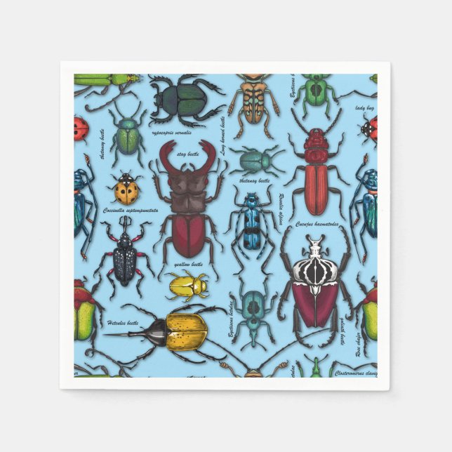 Beetles on blue napkin (Front)