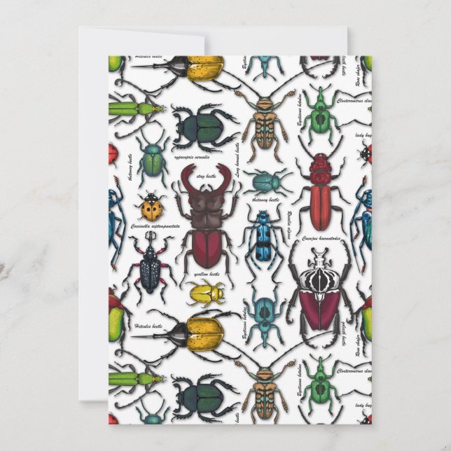 Beetles on white (Front)