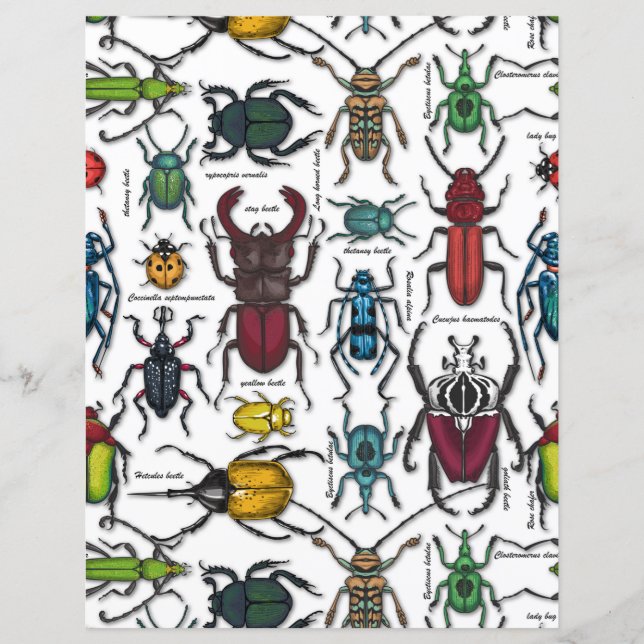 Beetles on white (Front)