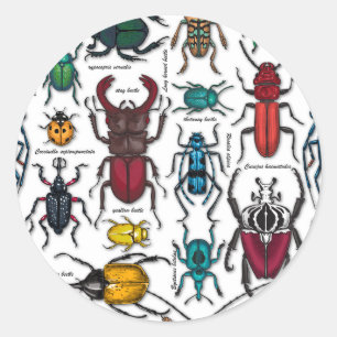 Beetles on white classic round sticker