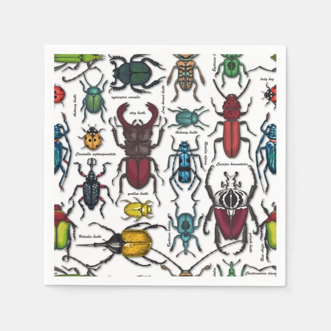 Beetles on white napkin (Front)