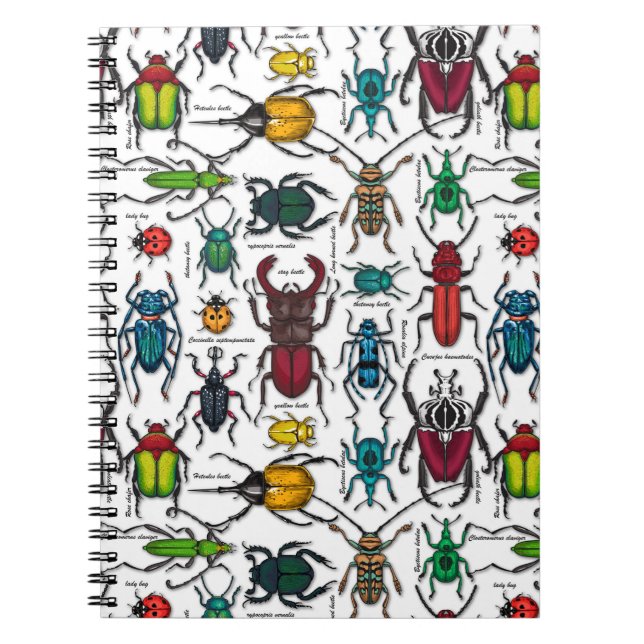 Beetles on white notebook (Front)