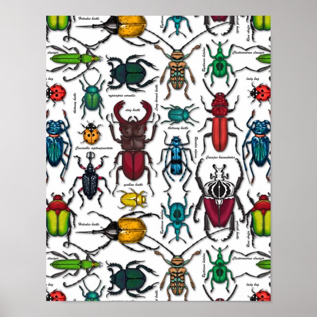 Beetles on white poster (Front)