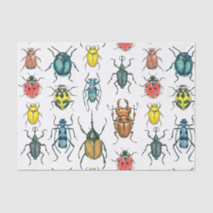 Beetles Tissue Paper