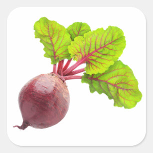 Beetroot with big leaves square sticker