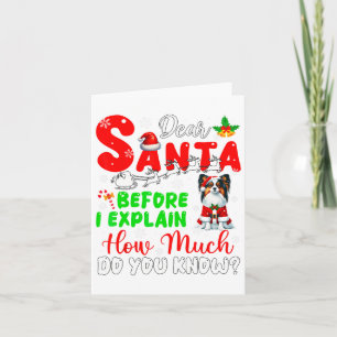 Before I Explain How Much You Know Xmas Papillon O Card