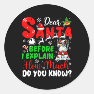 Before I Explain How Much You Know Xmas Papillon O Classic Round Sticker