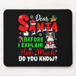 Before I Explain How Much You Know Xmas Papillon O Mouse Mat