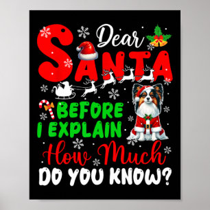 Before I Explain How Much You Know Xmas Papillon O Poster