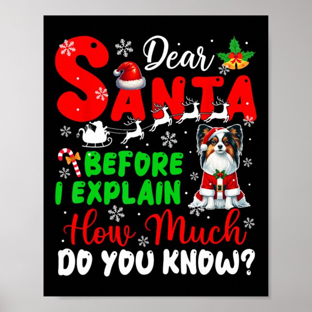 Before I Explain How Much You Know Xmas Papillon O Poster (Front)