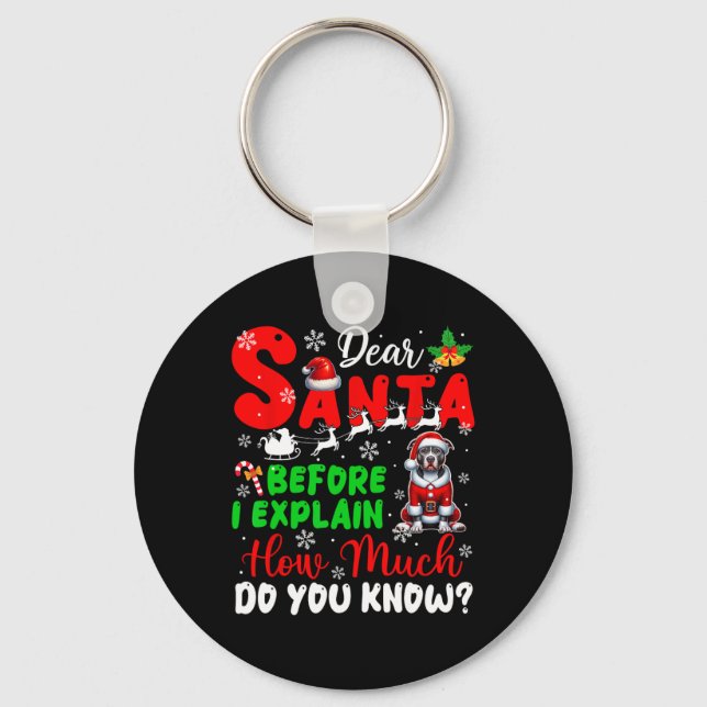 Before I Explain How Much You Know Xmas Pit Bull O Key Ring (Front)