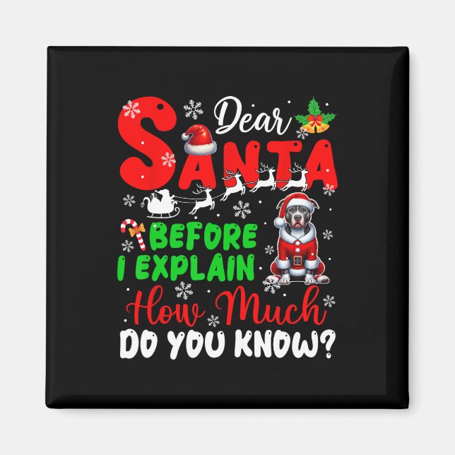 Before I Explain How Much You Know Xmas Pit Bull O Magnet (Front)