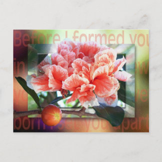 Before I Formed You Postcard