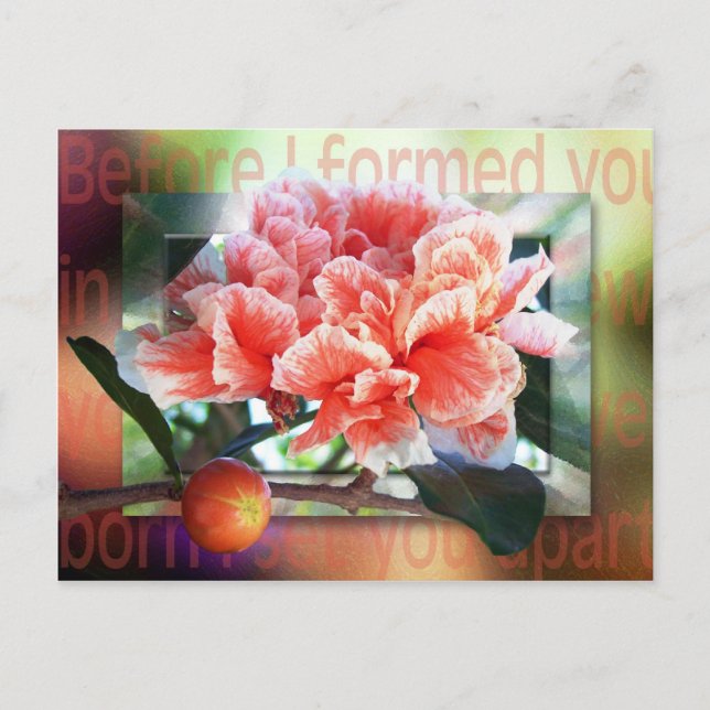 Before I Formed You Postcard (Front)