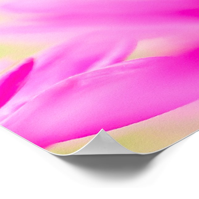 Before the Bloom Poster (Corner)