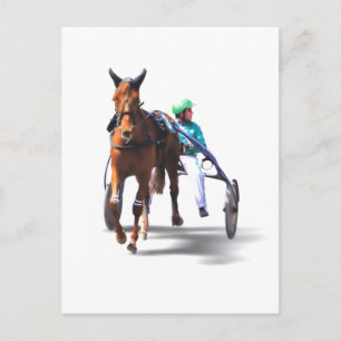 Before the Race Postcard