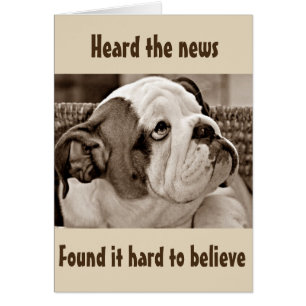 **BEFUDDLED BULL DOG** CAN'T BELIEVE YOU'RE **50**