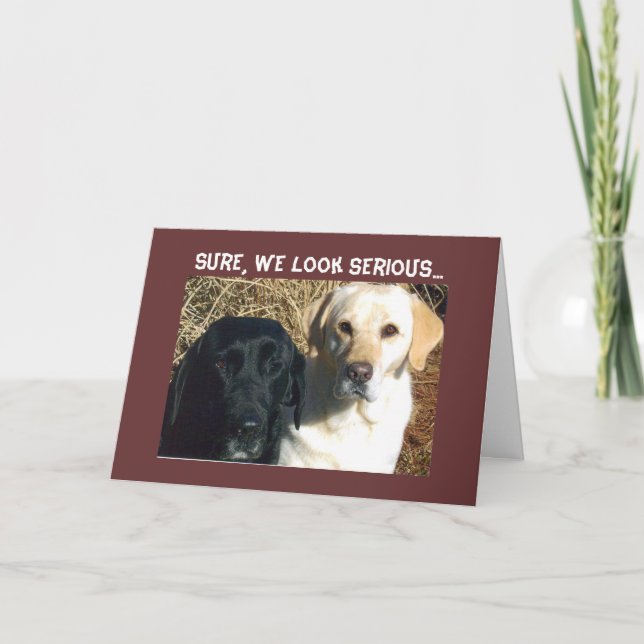 BEG FOR TREATS SOON WELL WISHES CARD (Front)