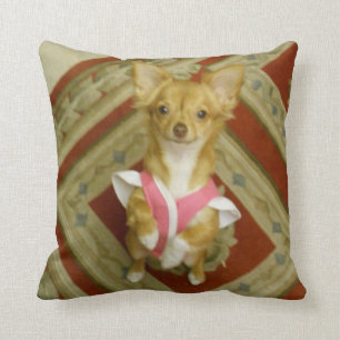 begging chihuahua cotton pillow