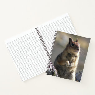 Begging Ground Squirrel Nature Photo Notebook