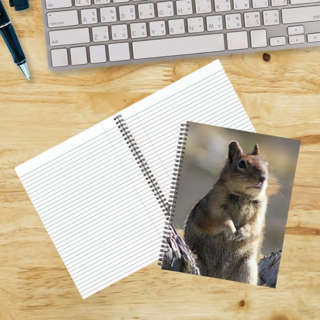 Begging Ground Squirrel Nature Photo Notebook (In Situ)