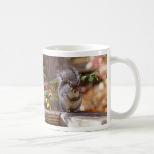 Begging Squirrel Coffee Mug