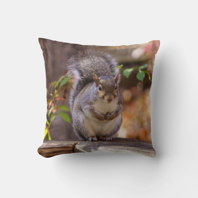 Begging Squirrel Cushion (Front)