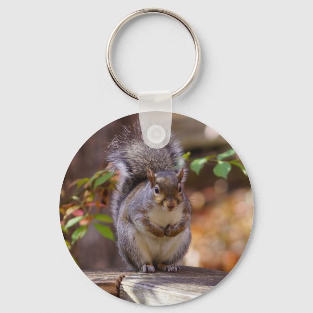 Begging Squirrel Key Ring (Front)