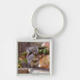Begging Squirrel Key Ring