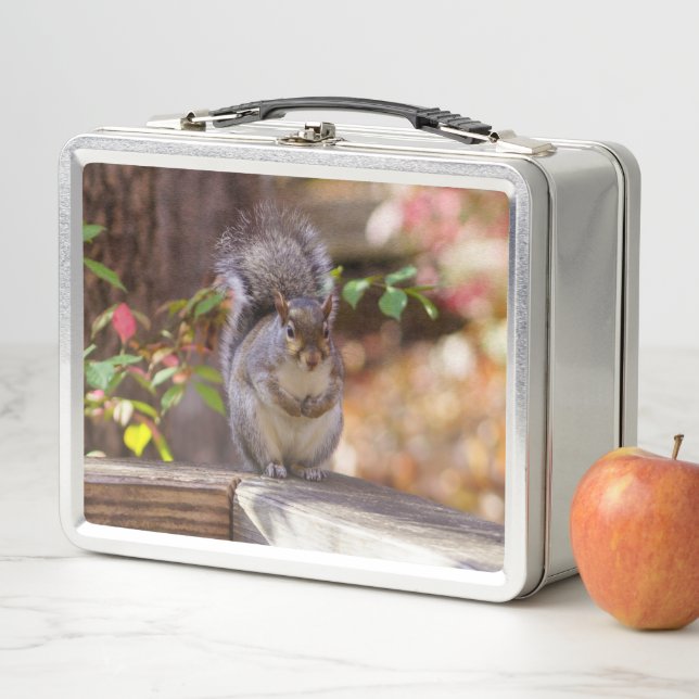 Begging Squirrel Metal Lunch Box (In Situ)