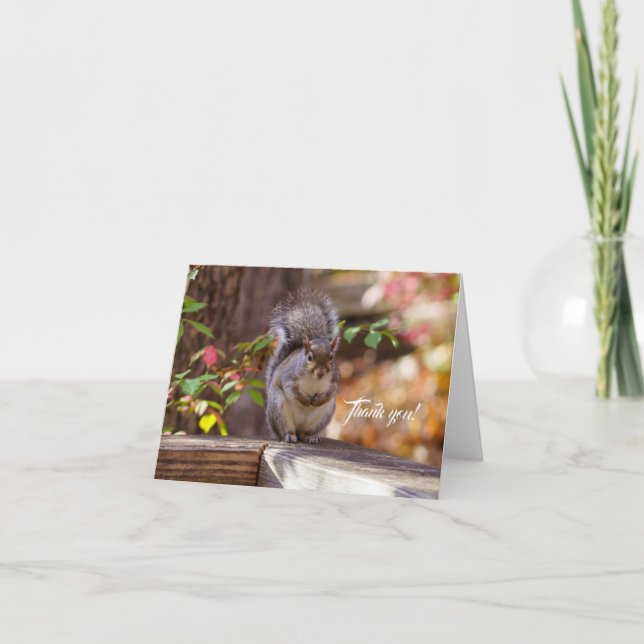 Begging Squirrel Thank You Card (Front)