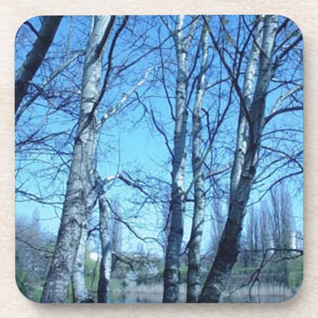 begining spring coaster (Front)