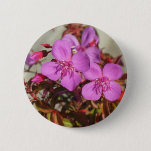 Begonia button