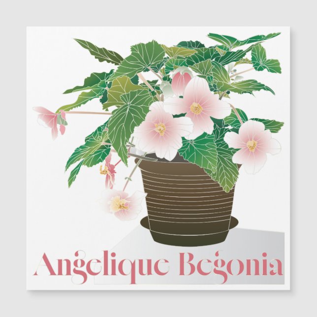 Begonia Flat Magnet (Front)