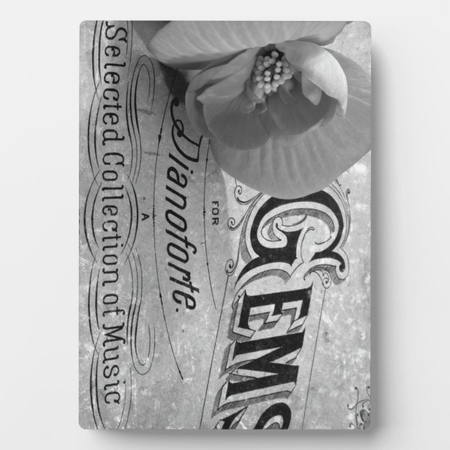 Begonia Gems Pianoforte Plaque (Front)