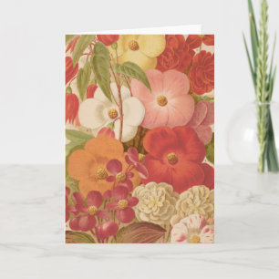 Begonia   George Nicholson Card