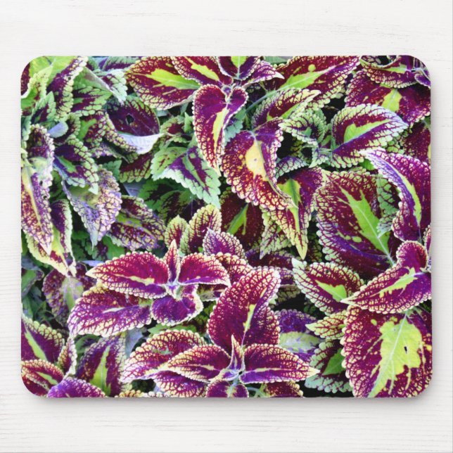 Begonia Leaves Mouse Mat (Front)