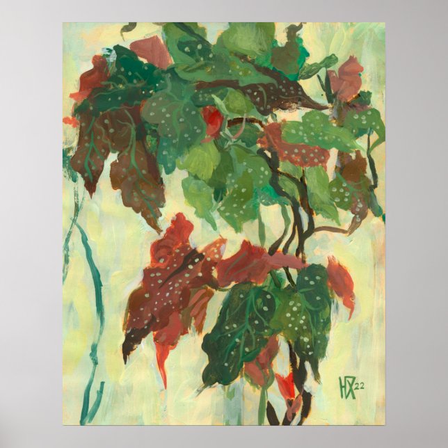 Begonia Maculata Home Garden Plant Floral Painting Poster (Front)