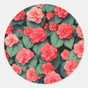 Begonia pink flowers  classic round sticker