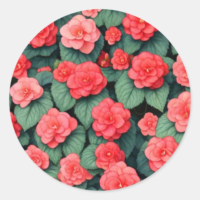 Begonia pink flowers  classic round sticker (Front)