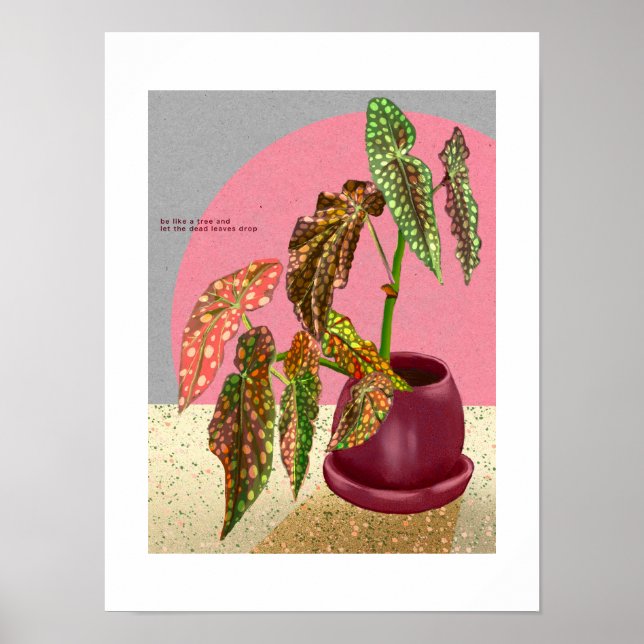 Begonia Print, Poster (Matte) (Front)