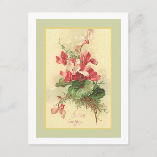 Begonia Vintage Birthday Greetings Postcard (Front)