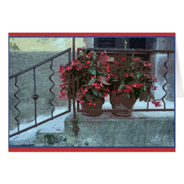 Begonias in Ljubjlana (Front Horizontal)