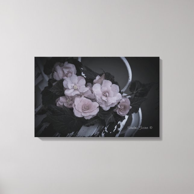 Begonias On Bench Garden Scene Gallery Canvas (Front)