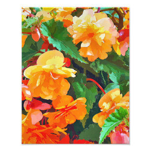 BEGONIAS PHOTO PRINT