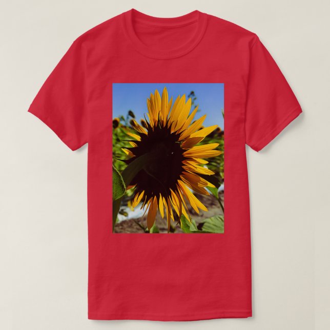 Behind the beauty T-Shirt (Design Front)