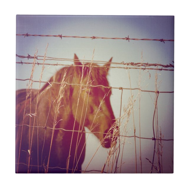 Behind the Fence Abstract Horse Tile (Front)