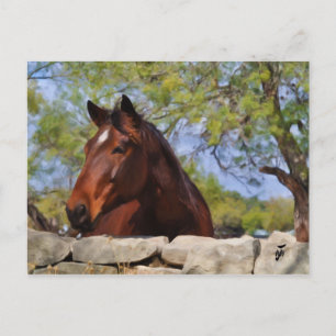 Behind the Wall Postcard