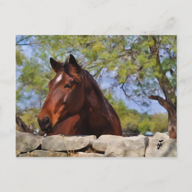 Behind the Wall Postcard (Front)